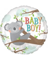 Baby Koala Boy
